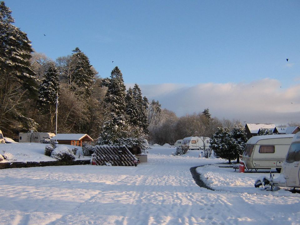 Winter pitches by the trees