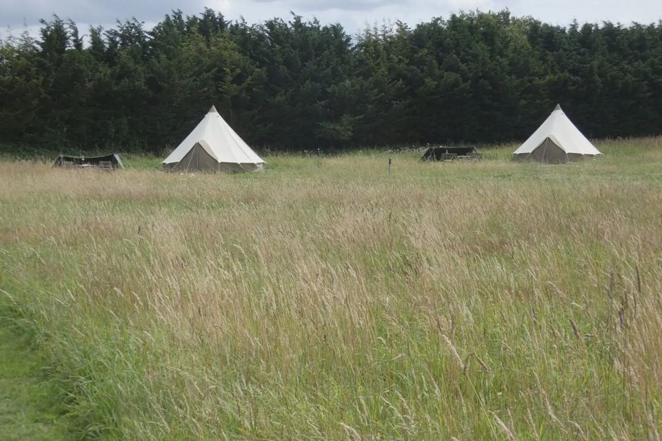 Bell tents in wildflower grass