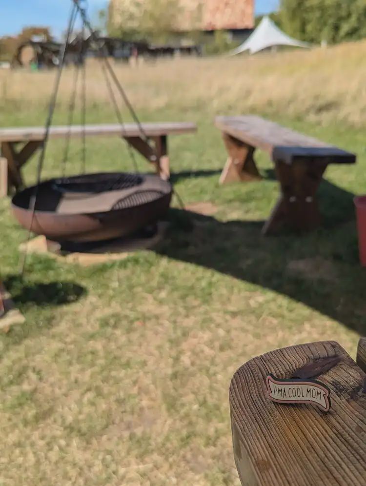 Fire pit and picnic bench