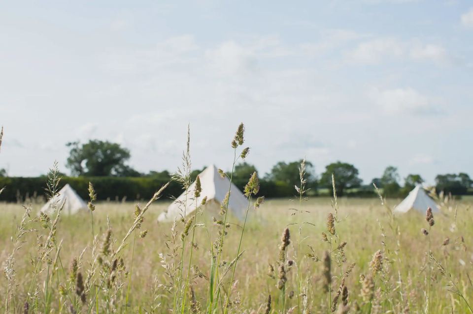 Bell tents in the meadow