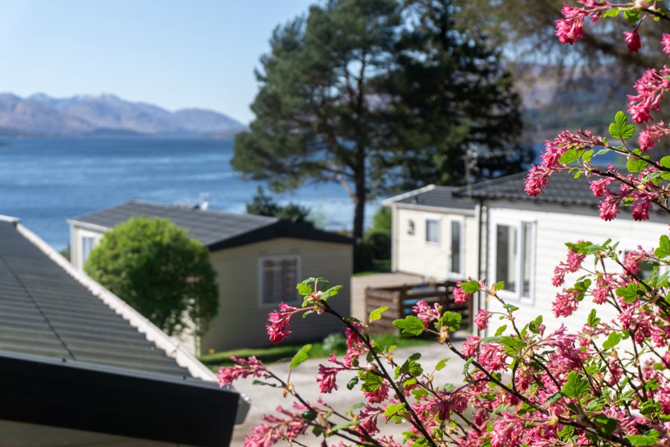 Caravans above the loch