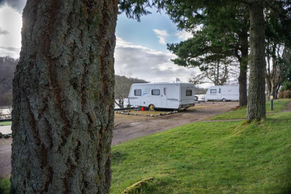 Touring caravans among the pines