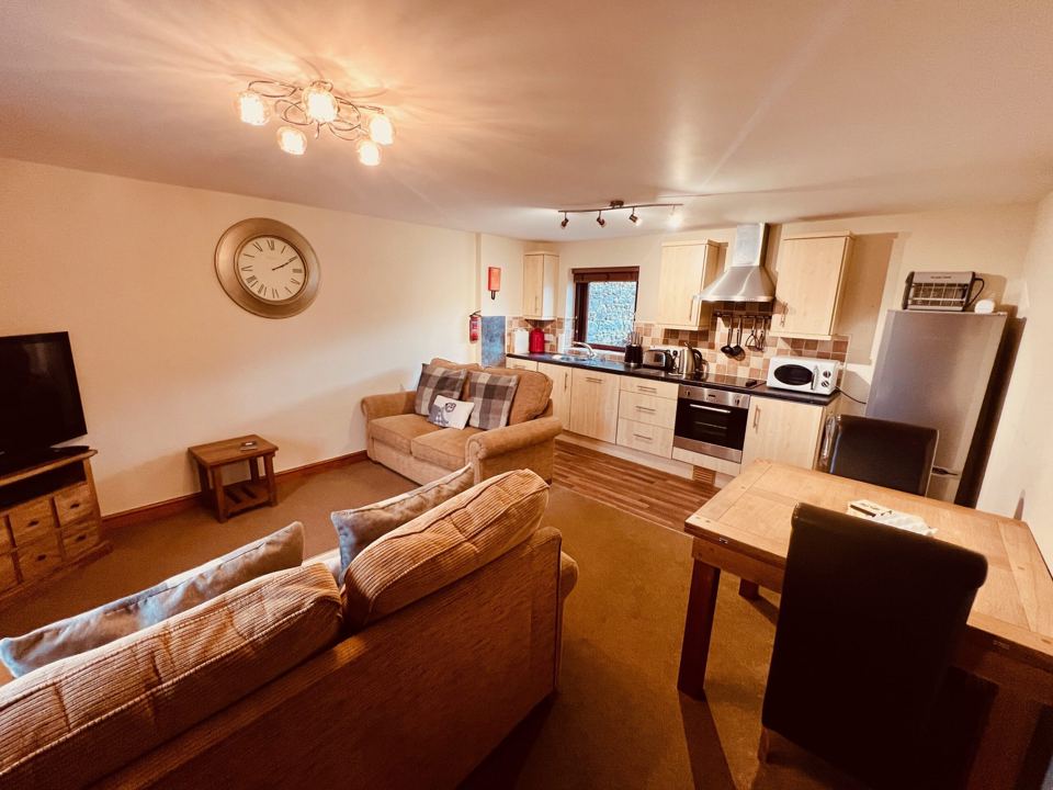 Open-plan kitchen and sofas