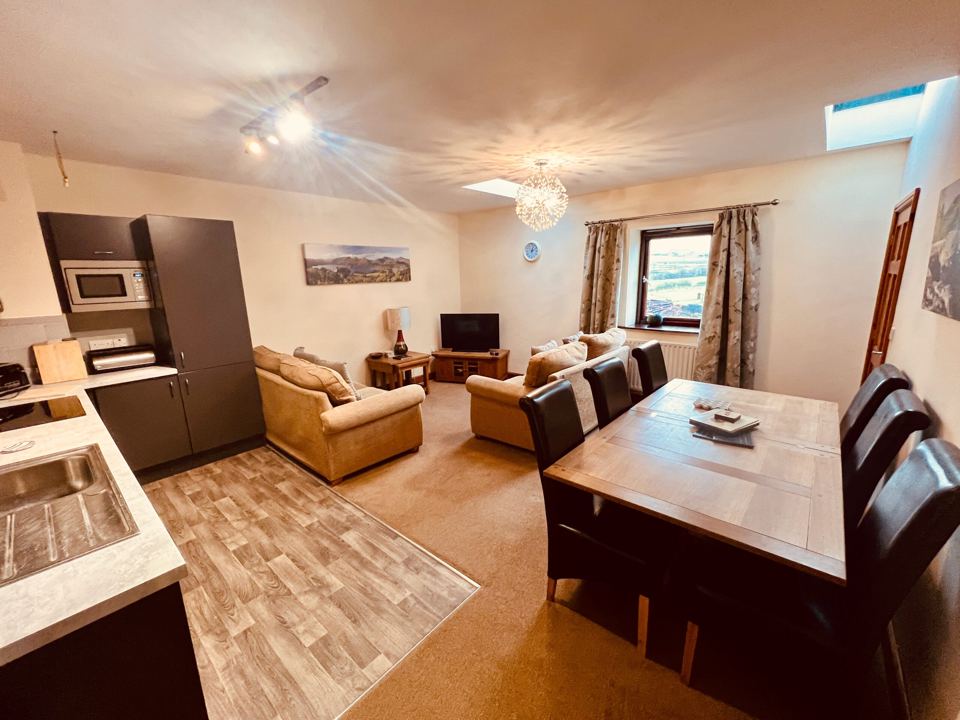Living and dining area with kitchen