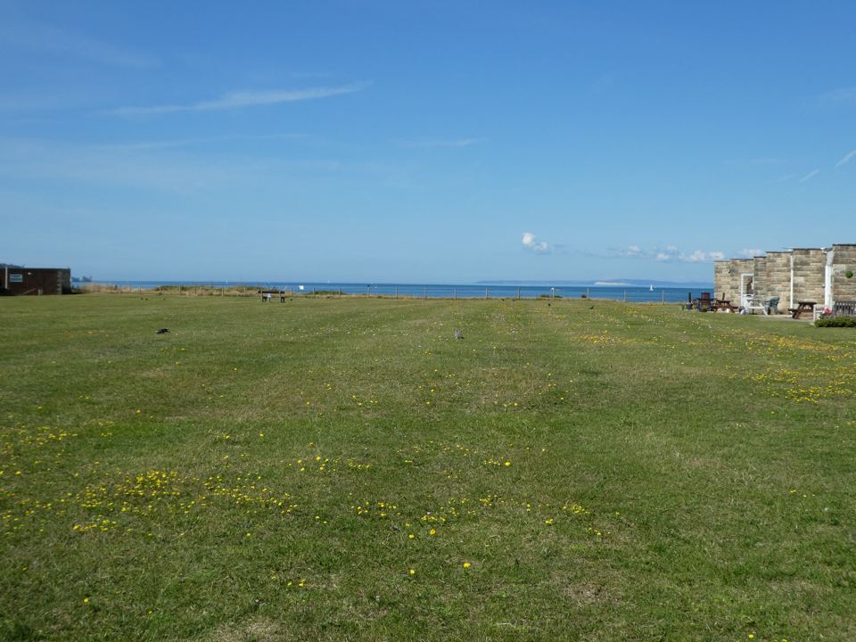 Open grass looking out to sea