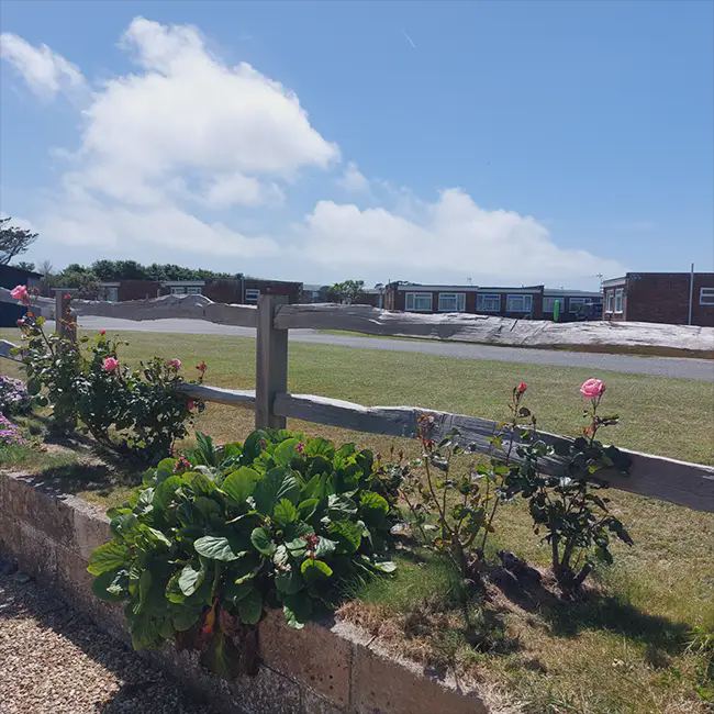 Bungalows beyond the rose bed
