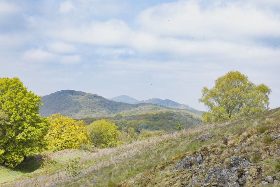 Malvern Hills in the distance