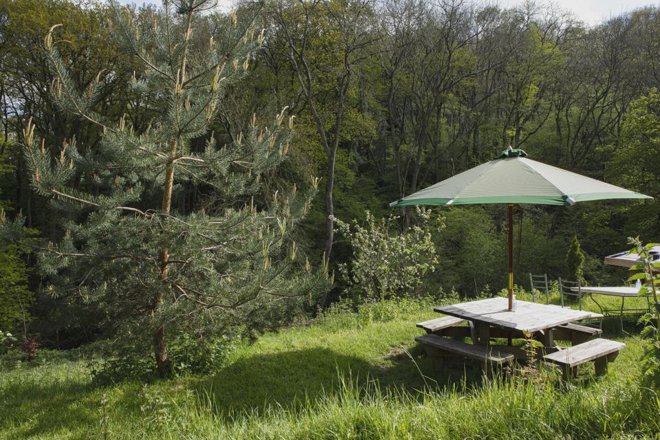 Picnic table under a parasol