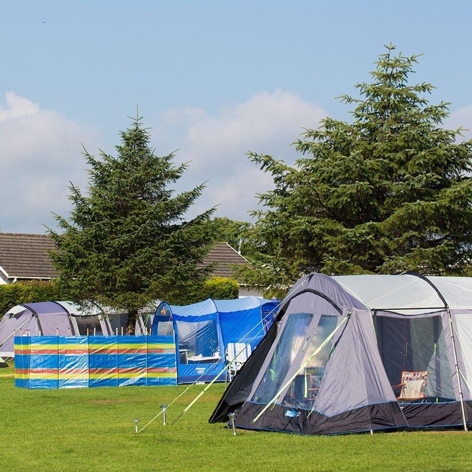Tents in the camping meadow
