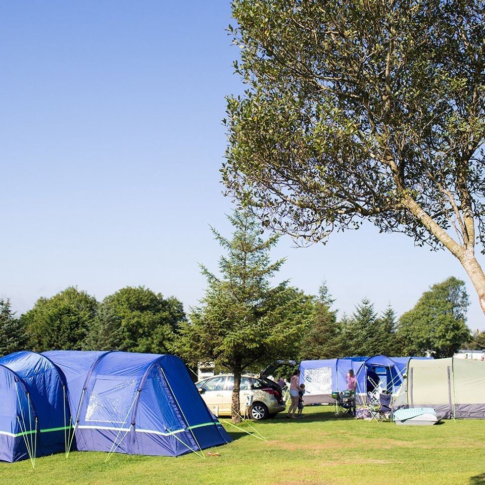 Tent pitches under the trees