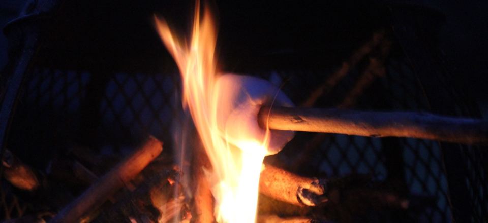 Toasting marshmallows on the fire