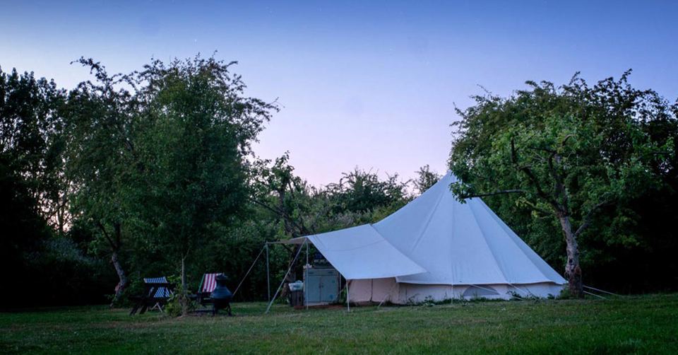 Bell tent among apple trees