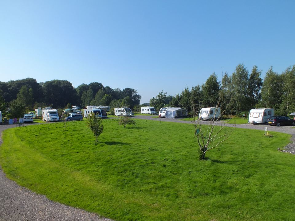 Grass area between pitches