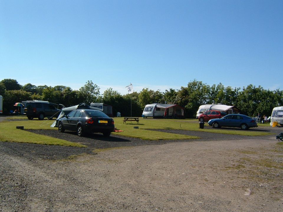 Pitches by the entrance road