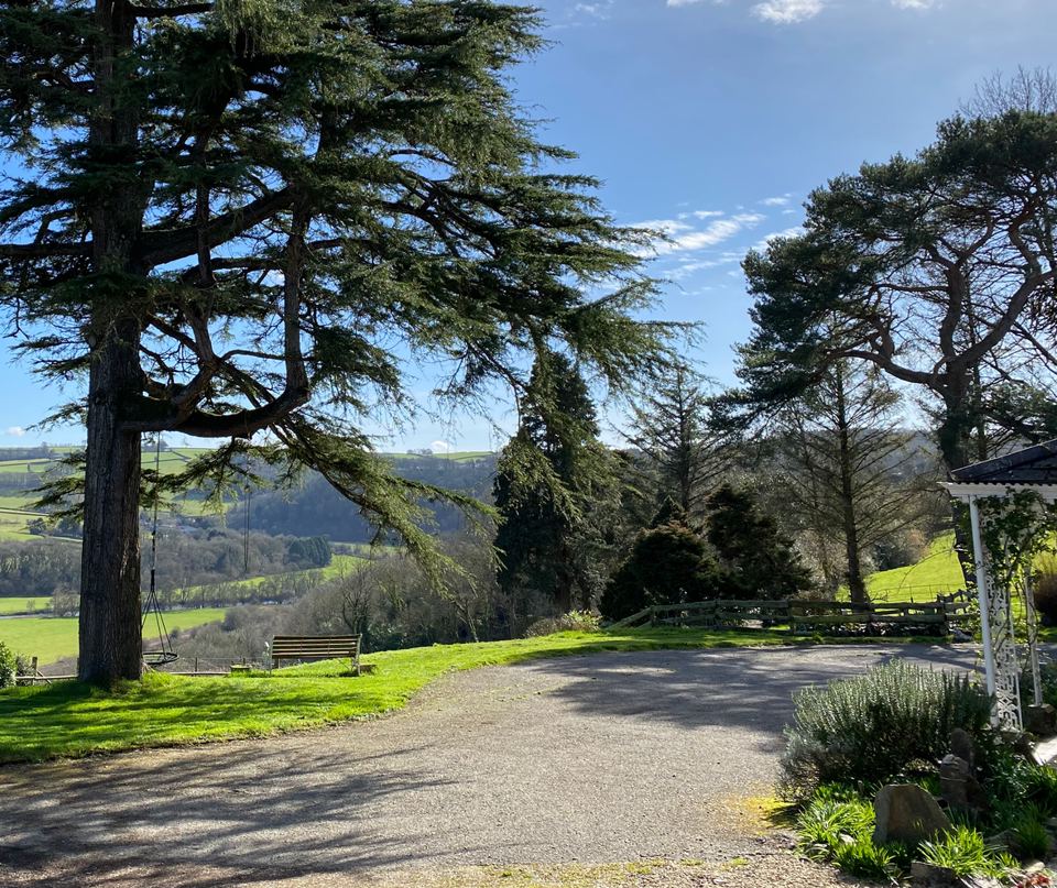 Trees and view from the house