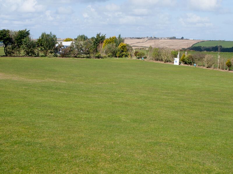 Grass field with hedges beyond