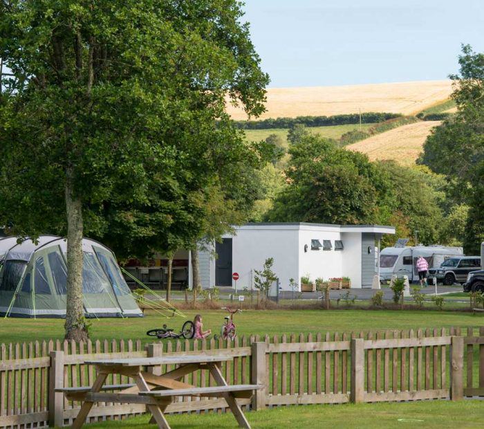 Pitches by the hedge and fence