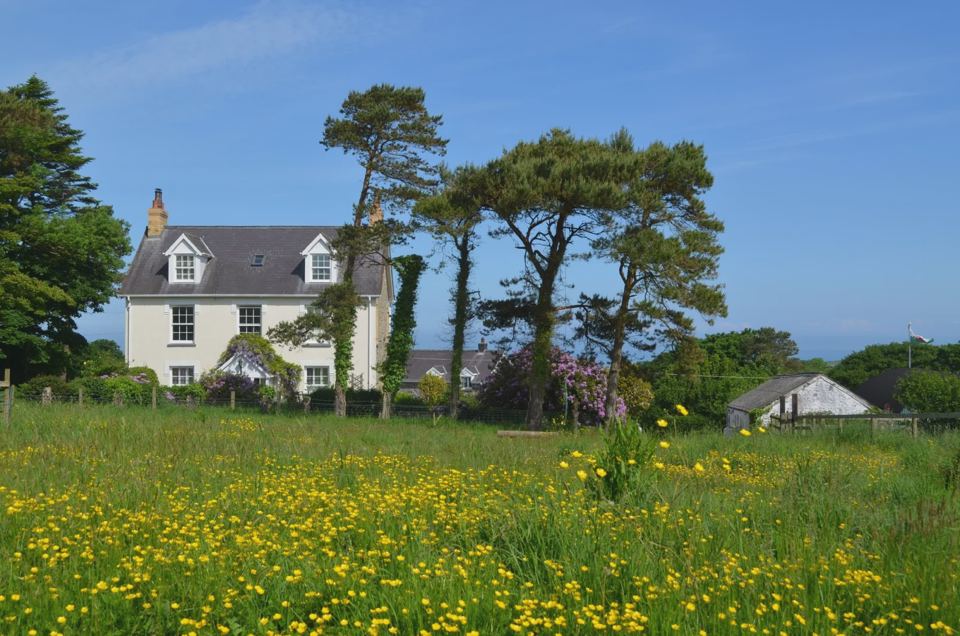 Meadow below the farmhouse