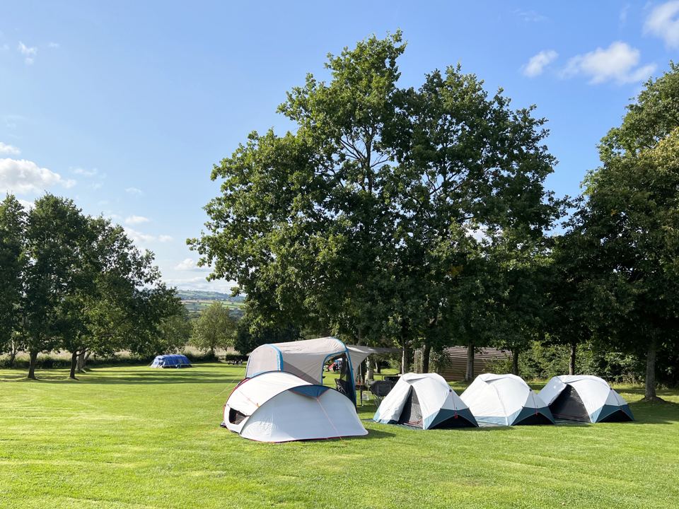 Tents on the camping field