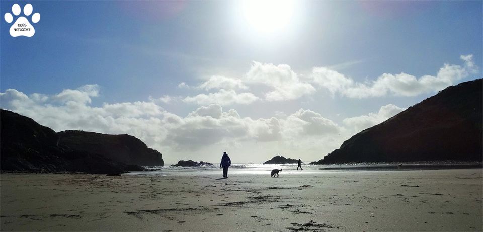 Quiet beach nearby