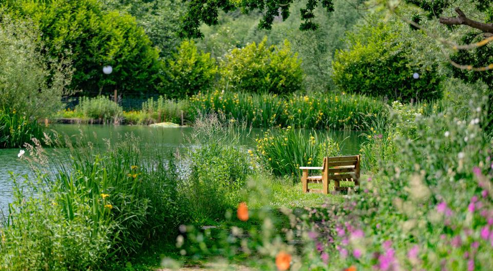 Bench by the lake