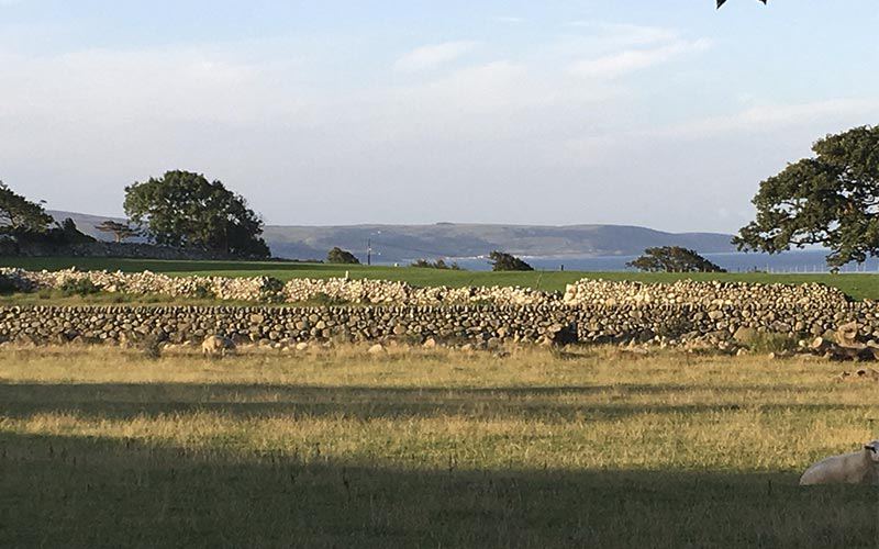 Farmland and bay in evening light