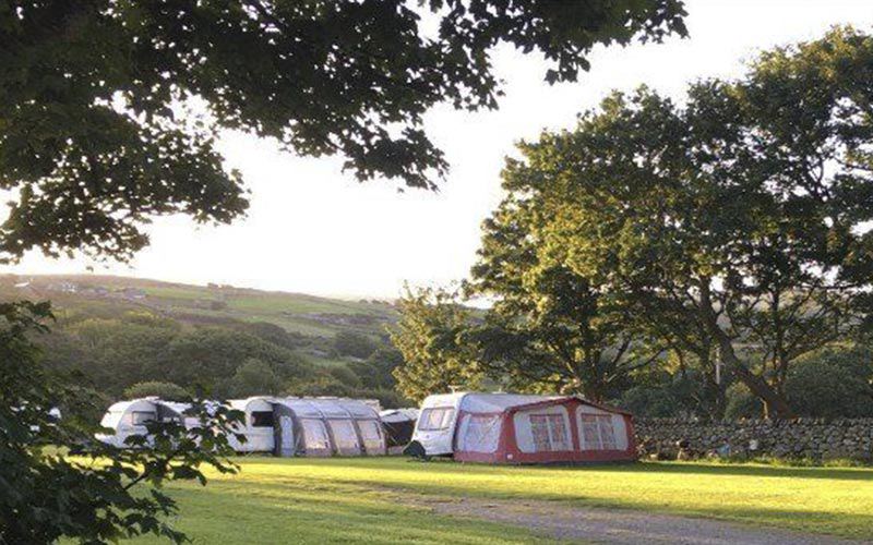 Pitches under the trees