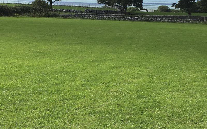 Open grass with sea beyond