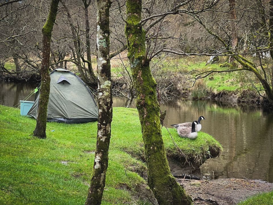 Tent beside the river