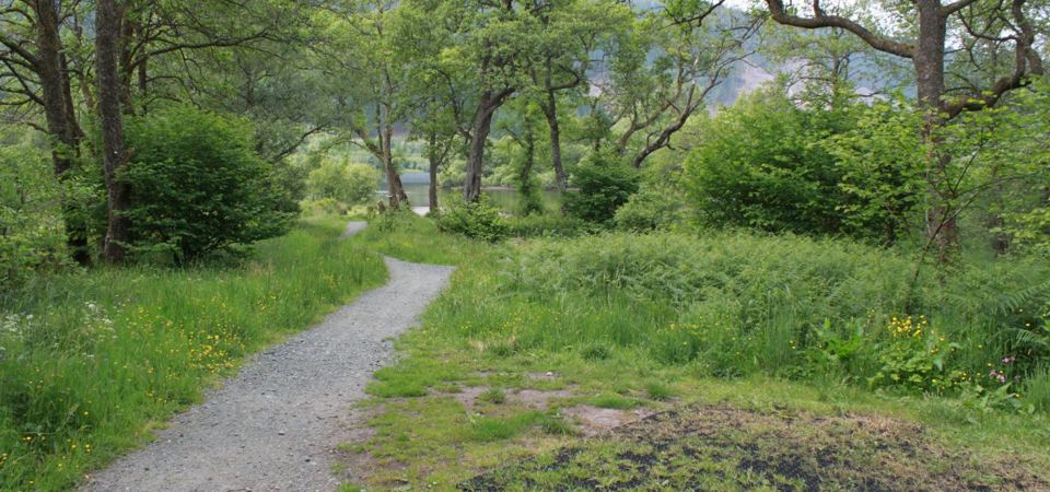 Gravel path to the pitches