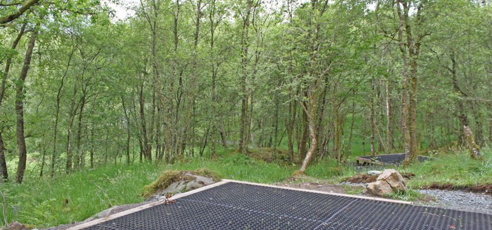 Platform pitch in the trees