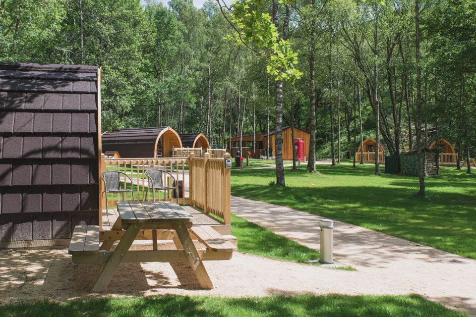 Lodges among the trees