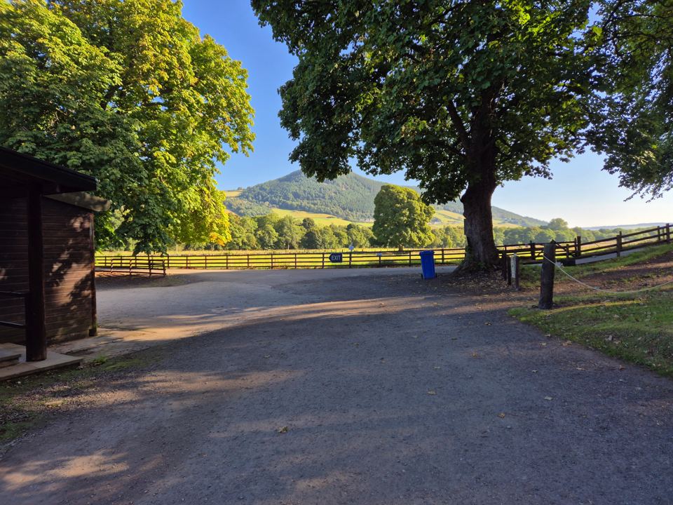 Gravel track through the site