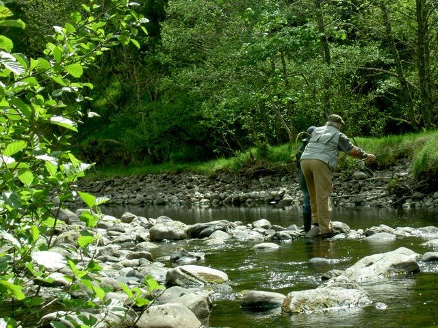 River beside the site