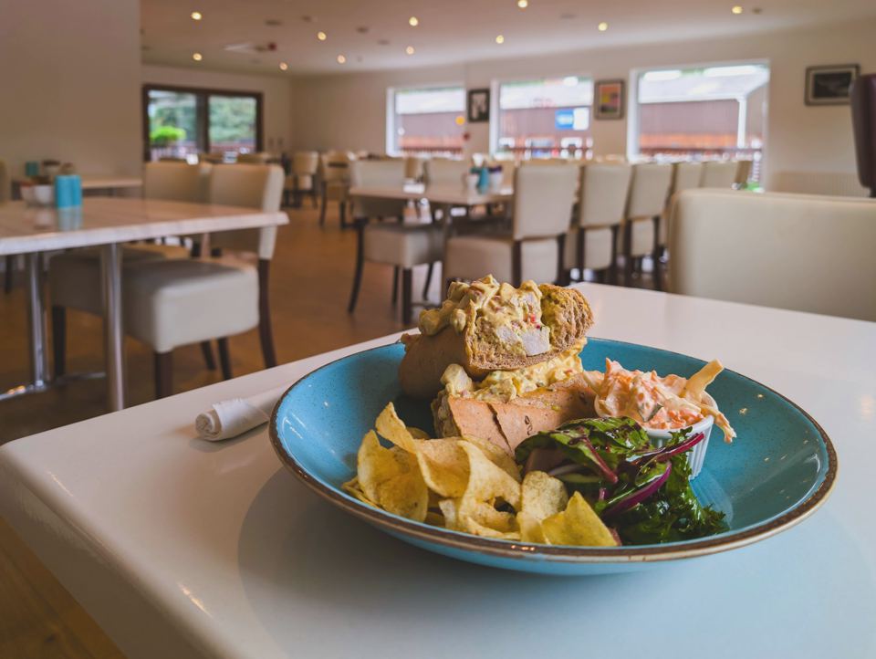 Meal in the restaurant