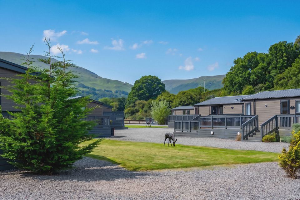 Lodges with hills behind