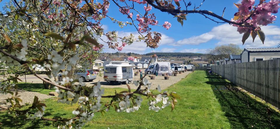 Touring pitches in spring