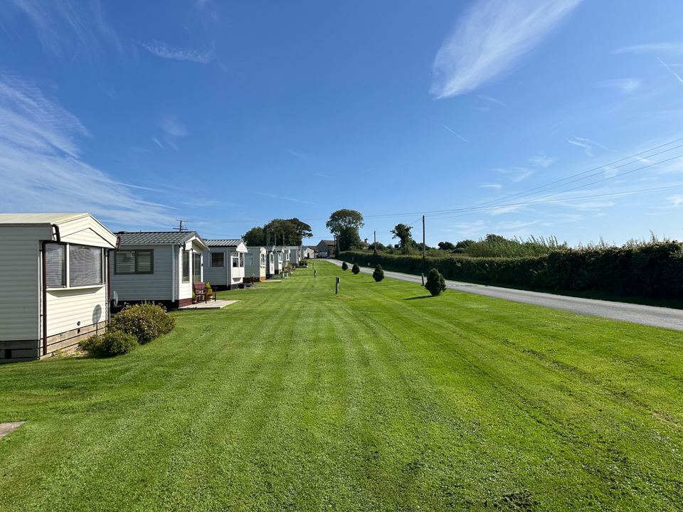 Grass lawns between the statics