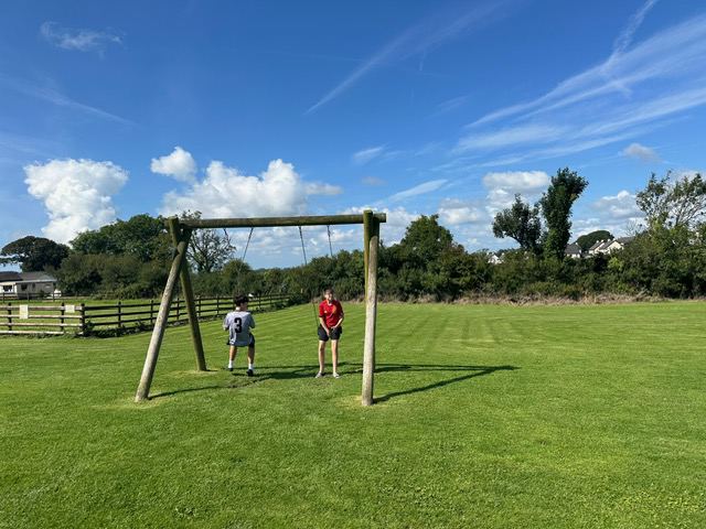 Swings on the grass