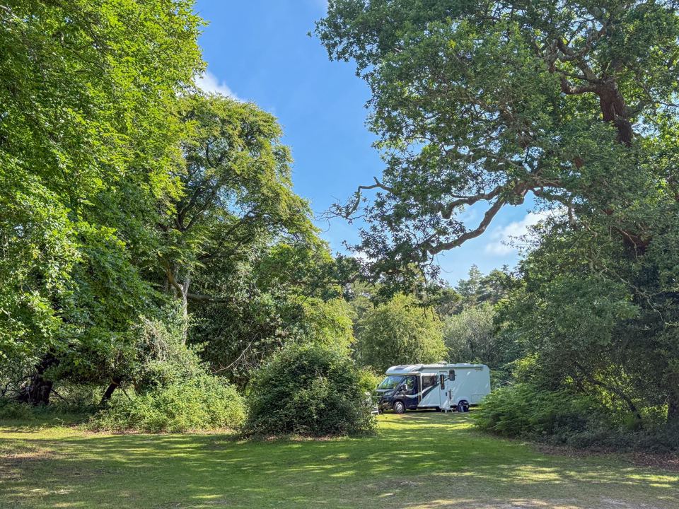 Motorhome in a woodland clearing