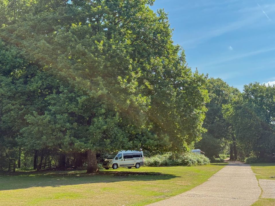 Campervan beside the forest path