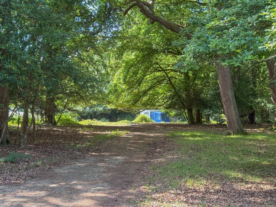Tent at the end of a forest track