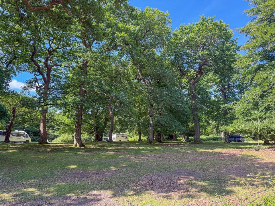 Wide grassy camping area