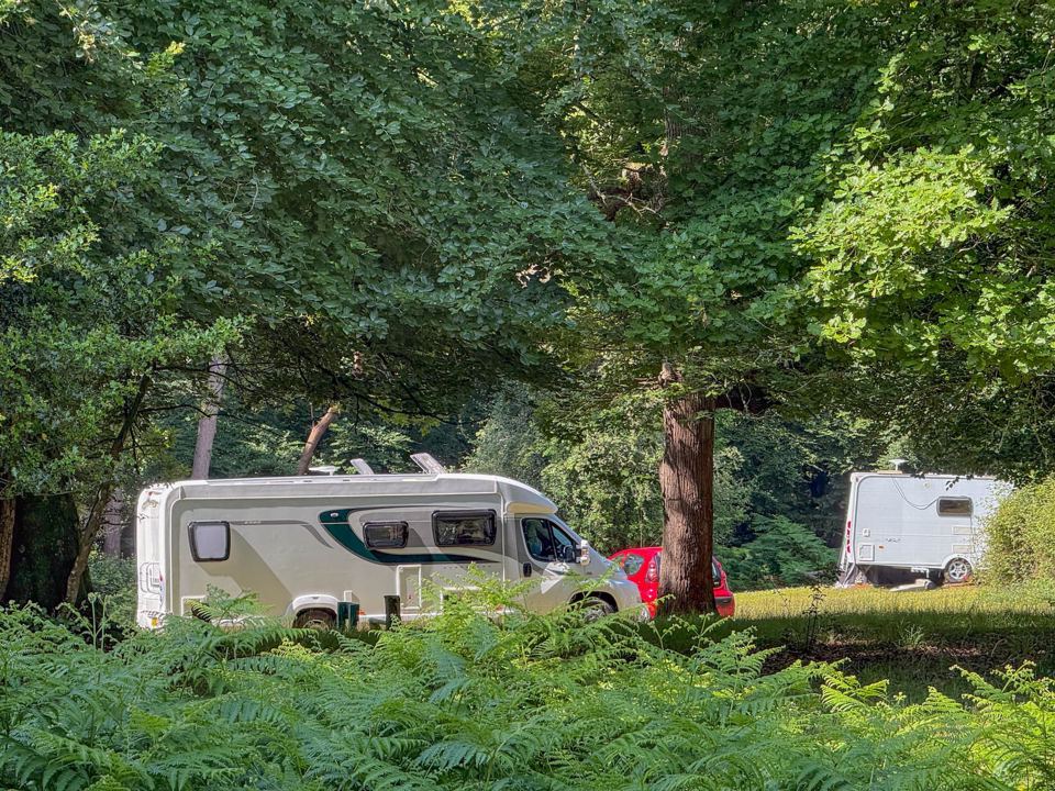 Motorhome among the ferns