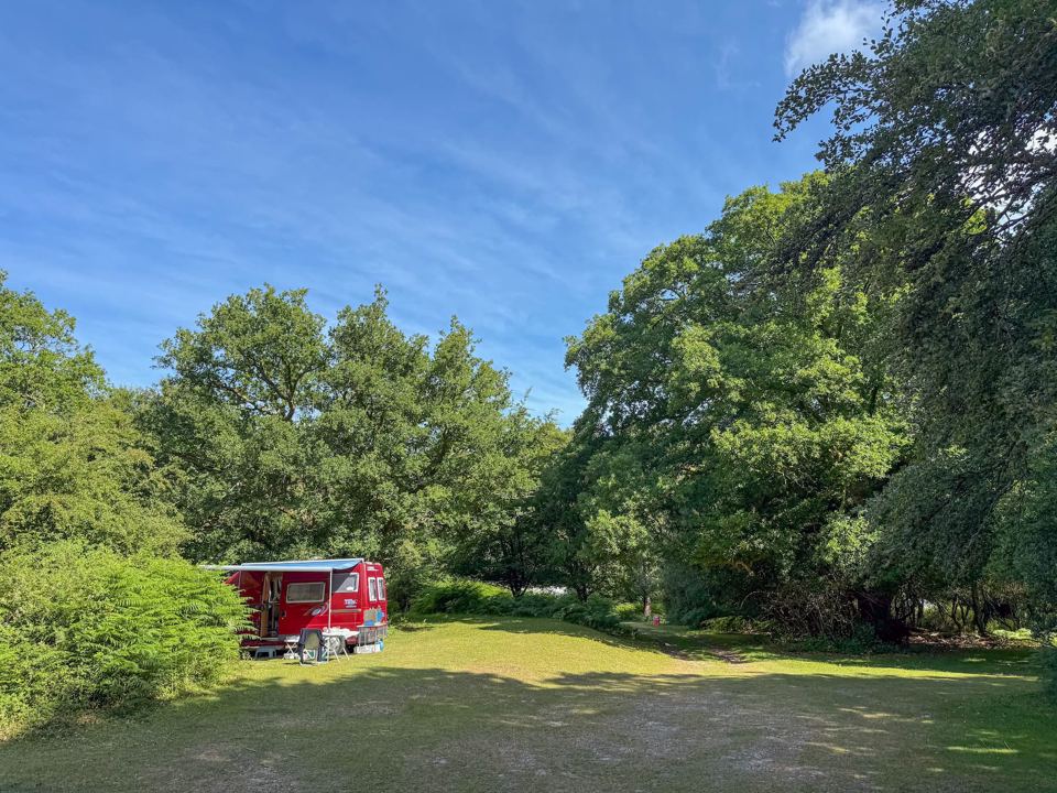 Small red camper on the grass