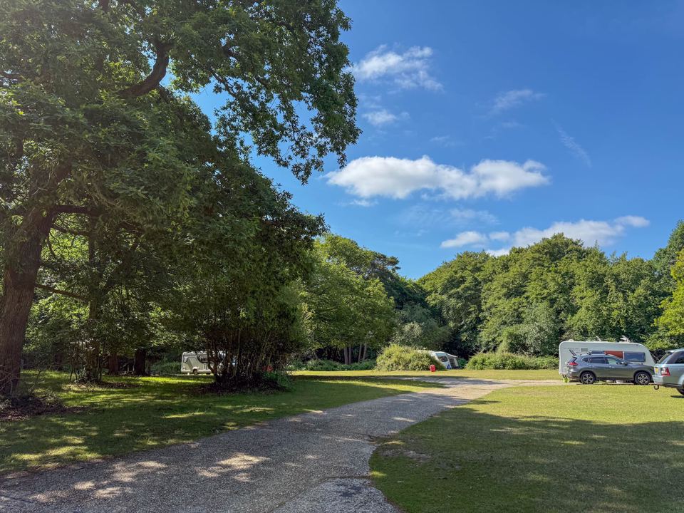 Track through the open camping area