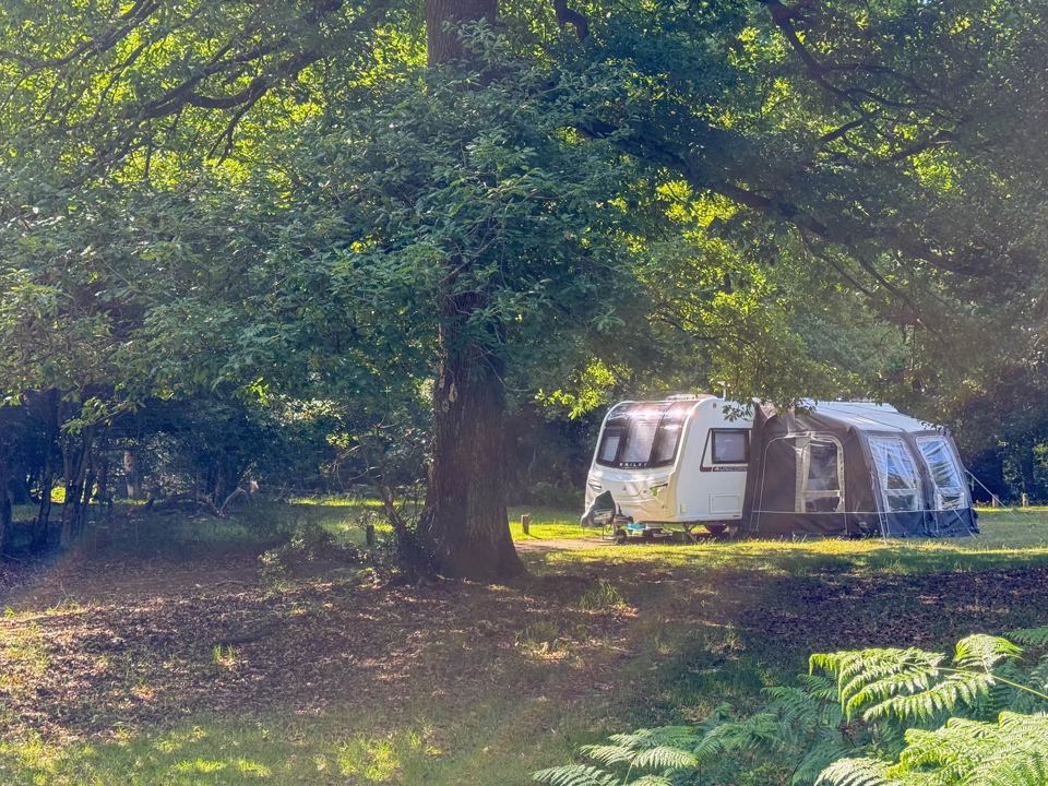 Caravan under a big oak
