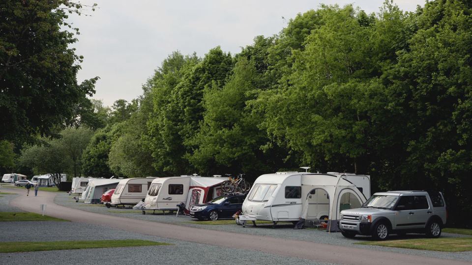 Caravans along the tree-lined road