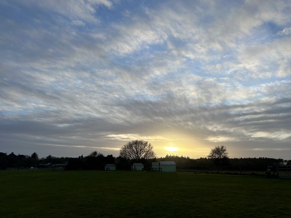Camping field at dusk