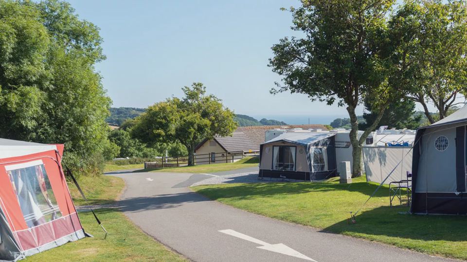 Touring pitches under the trees